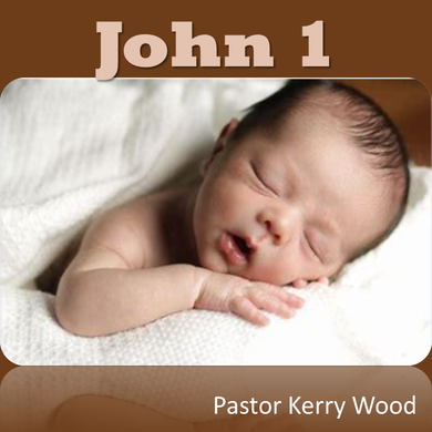 John 1: God Became Human. Really!